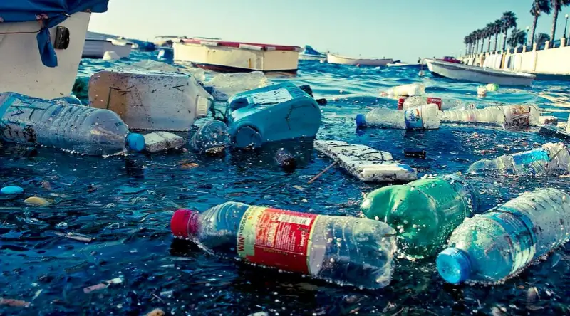 Municipal & Urban Waste Management
